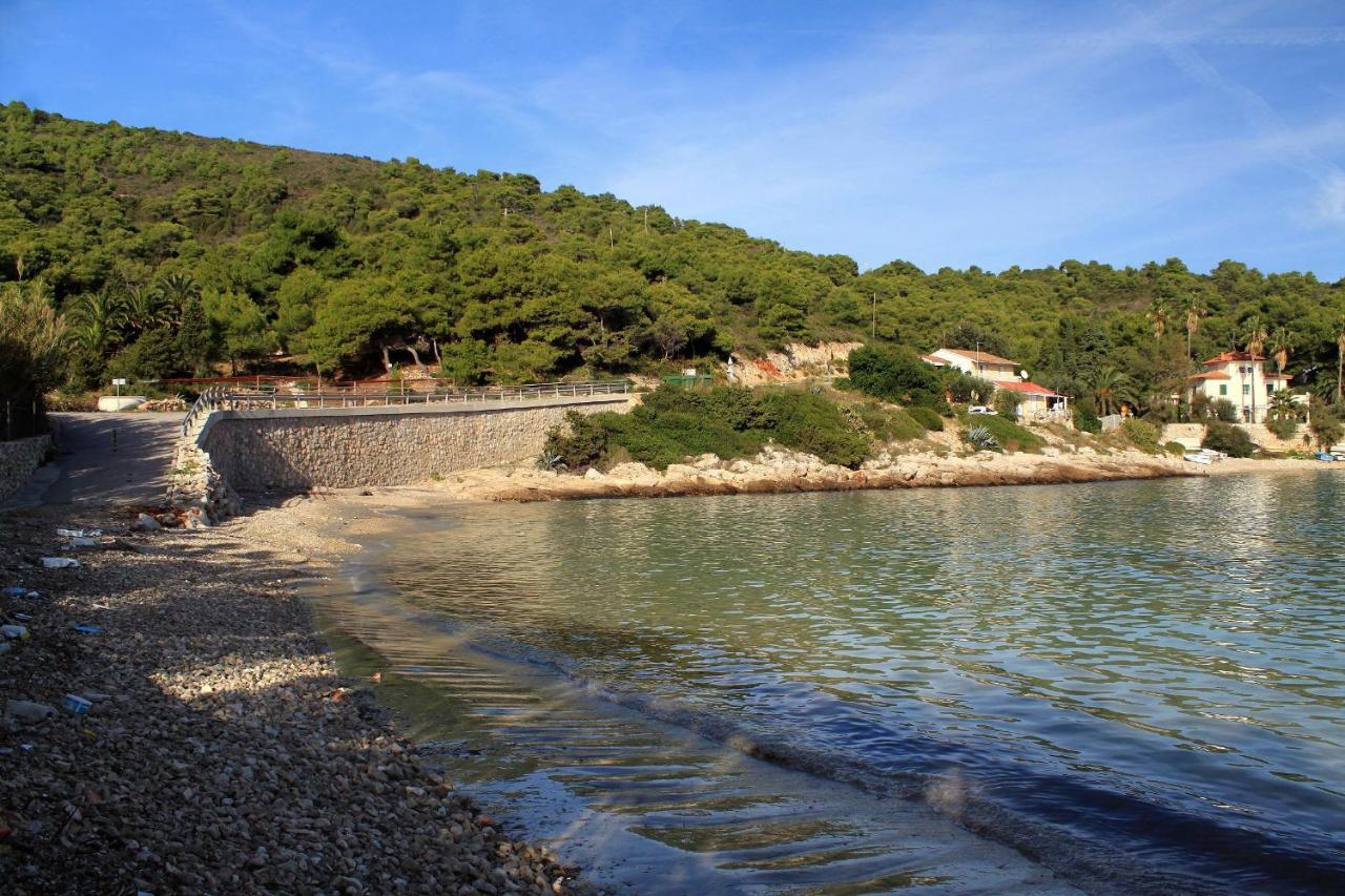 Apartments By The Sea Milna, Vis - 8896 エクステリア 写真